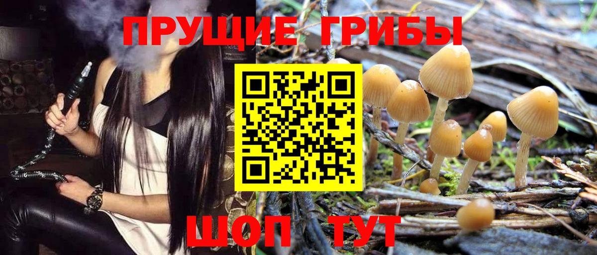 Барабинск  Псилоцибиновые грибы GOLDEN TEACHER  Галлюциногенные грибы Psilocybe  Вход с VPN 